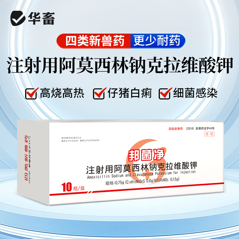 华畜猪链球菌仔猪白痢注射用阿莫西林克拉维酸钾感冒咳嗽产后消炎