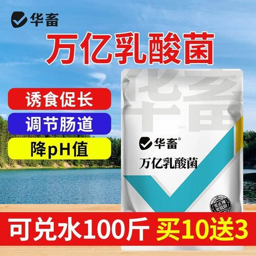华畜万亿乳酸菌水产养殖专用