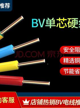 BV.54610国2标芯RZP铜电线家装布电线工照明程用线
