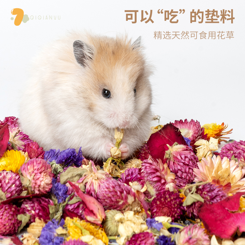 QIQIANWU七千五 花草垫料仓鼠除臭垫料夏天木屑笼子造景纯花垫料