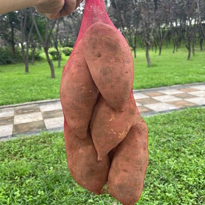新疆西藏包邮红薯网袋网兜水果苹果地瓜网袋子纱网橘子土豆纱网袋