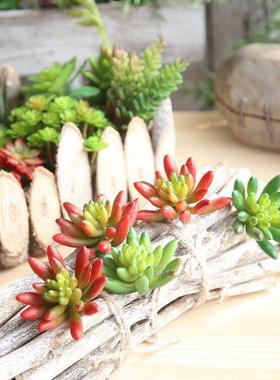 新款直销 中辣椒果 假花仿真花室内植物墙 微景观多肉植物MW17674