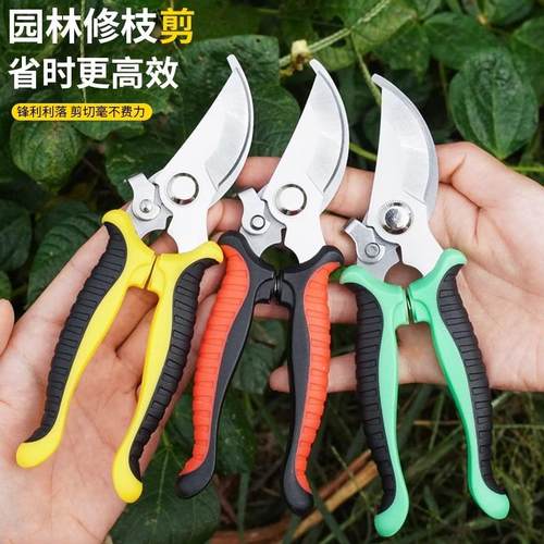 修枝剪园林园艺专用不锈钢剪刀家用省力修花修剪果树摘果树枝花艺