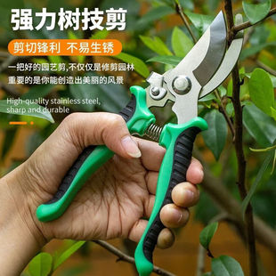 果树枝条修枝剪刀树枝园艺剪园林花园花艺花剪强力省力剪修枝工具