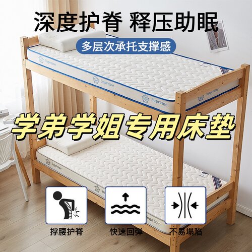 海绵垫榻榻米坐垫加厚沙发小块