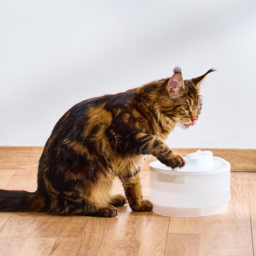 智能宠物饮水机 app控制家用猫狗喝水静音猫咪饮水器大容量