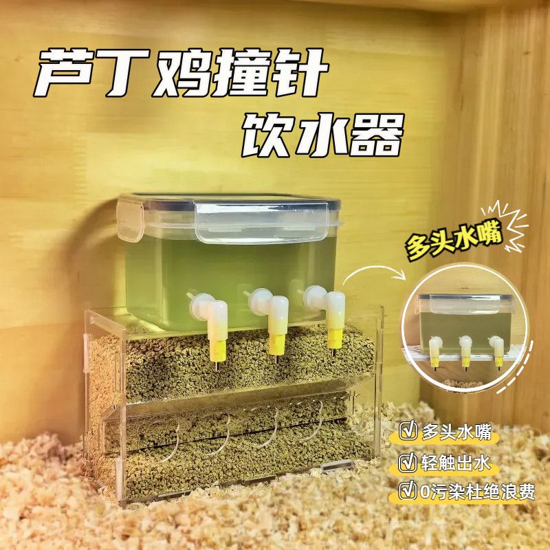 芦丁鸡鹌鹑多头撞针饮水器亚克力饲料盒大容量水壶防刨食盒平台