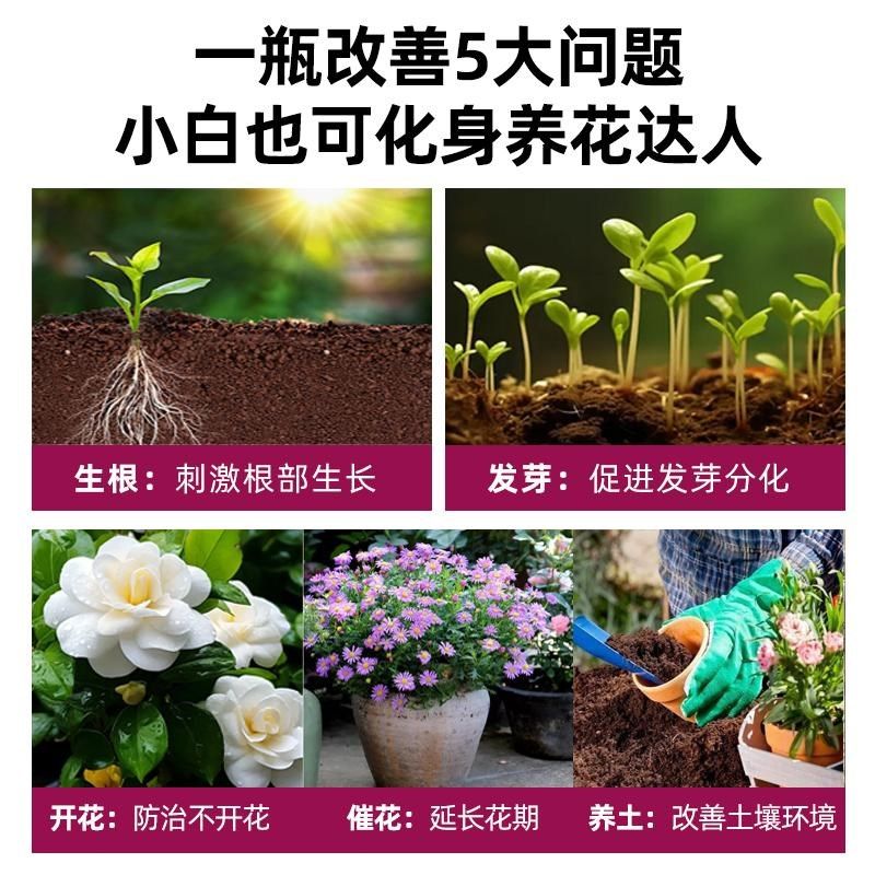 三角梅专用肥开花肥料家用花肥催花促花有机营养复合肥营养液养花,鲜花速递/花卉仿真/绿植园艺,家庭园艺肥料,淘宝优惠券,粉丝福利购,淘宝优惠卷