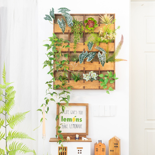 阿楹 高级日式绿植物入户迎门墙装饰挂件阳台布置电表箱墙洞遮挡