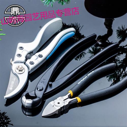 球节剪盆景修剪制作造型专用工具球剪枝钳球形剪剪刀鼎木套装鼎木
