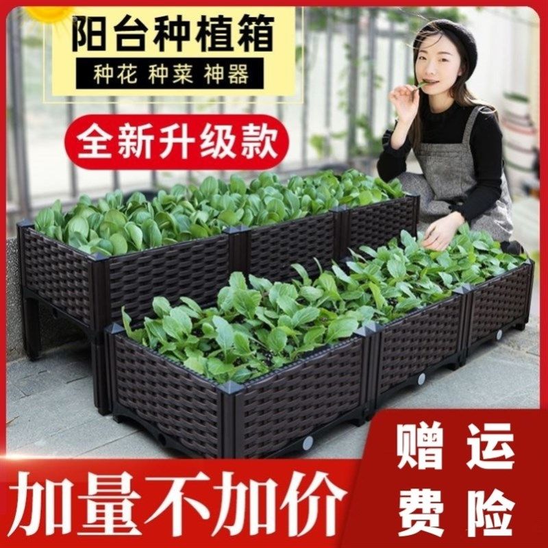 菜筐家里种菜种菜楼房阳台种菜神器神器菜筐菜园阳台种植框框框种