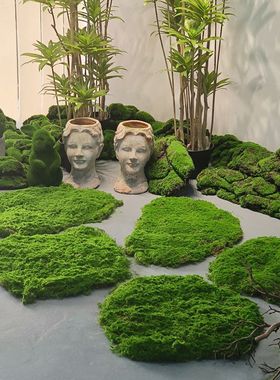 仿真石头草坪苔藓草皮庭院玄关造景青苔微景观绿植墙商场绿色森系