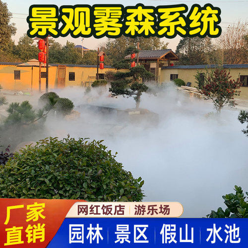 极速雾森系统人造雾假山水池高压喷雾主机景区造雾园林景观雾化喷