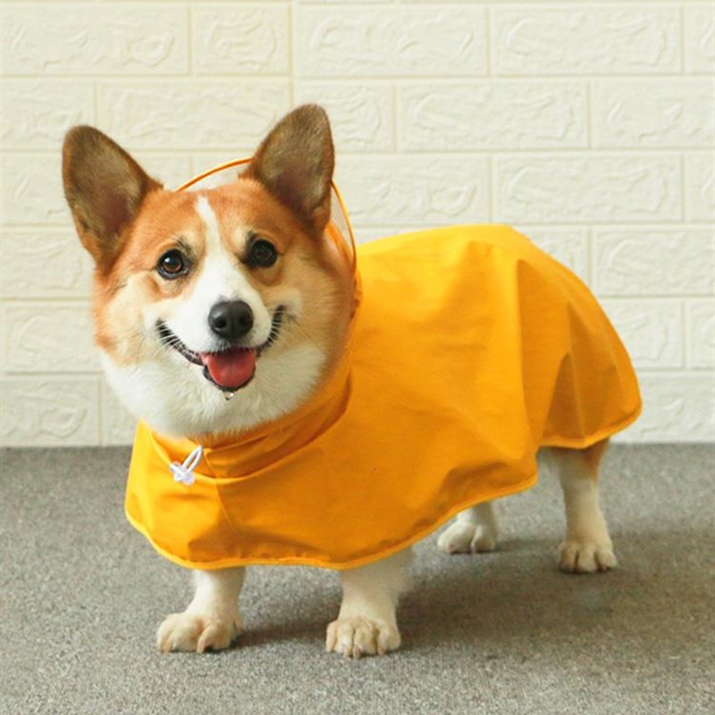 宠物雨衣狗狗小中型犬用品泰迪柯基专用防水衣服四脚全包肚兜雨天