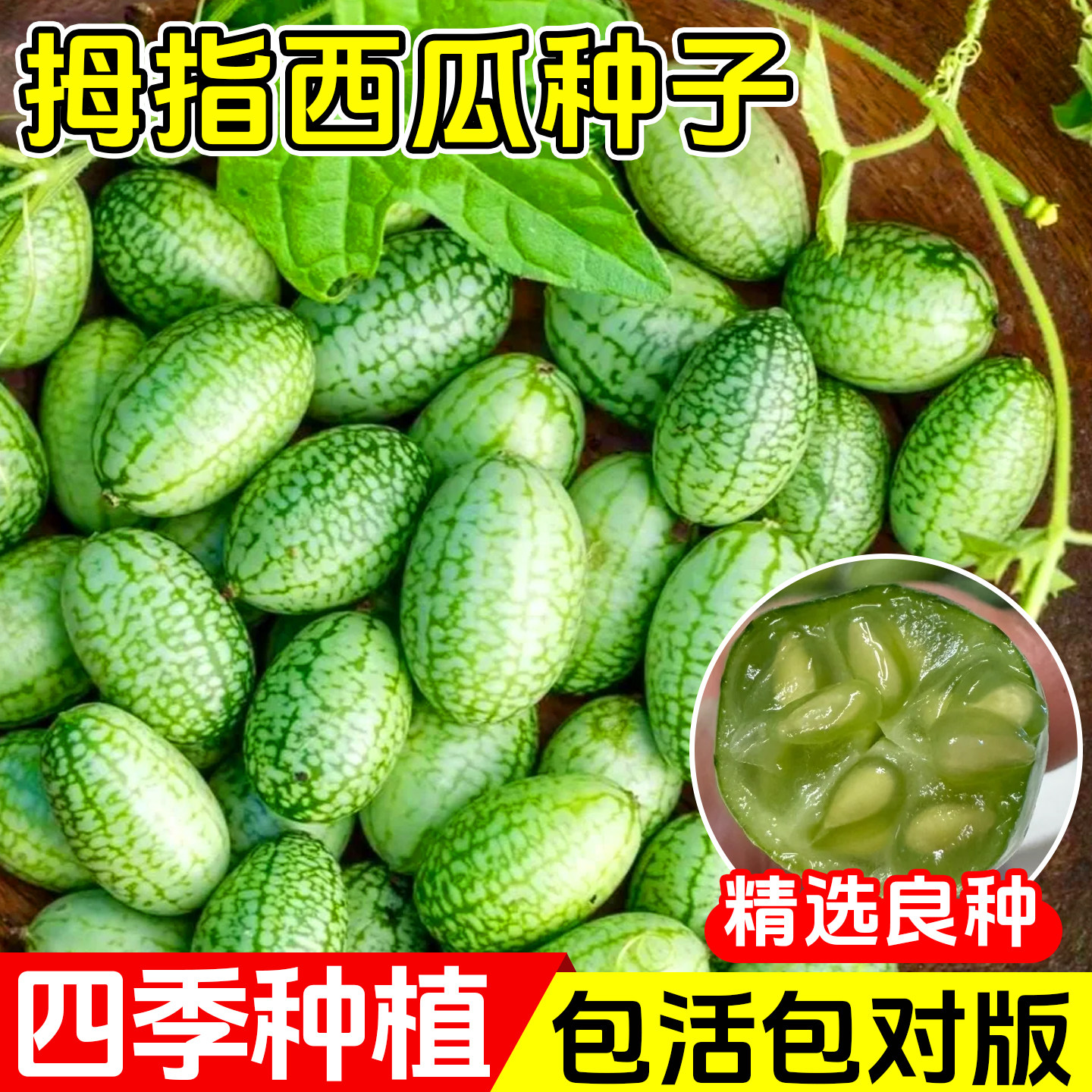 拇指西瓜种籽迷你蔬菜小水果种子秧苗母指阳台四季盆栽无籽瓜果孑