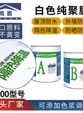 高盾透明天冬聚脲外墙阳台卫生间房屋楼顶防水补漏涂料金属腐胶材