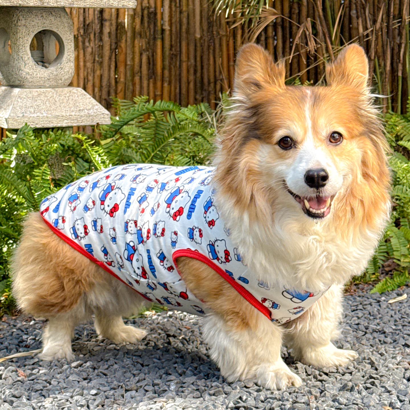 【保暖德绒】5-70斤狗狗秋冬衣服