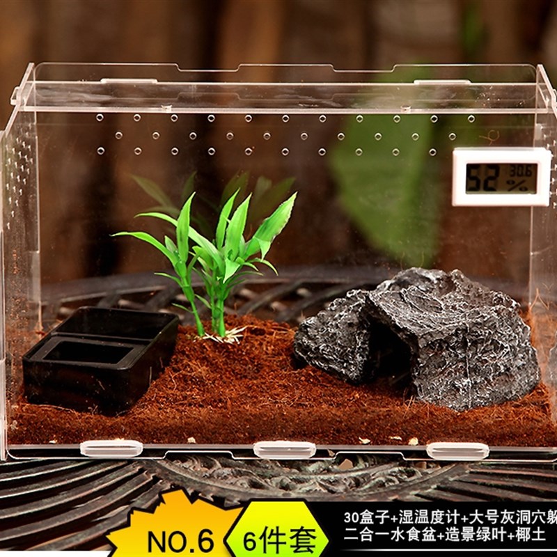 蜗牛别墅爬行宠物蜘蛛昆虫守宫蜥蜴角蛙独角仙蝎子螳螂饲养盒箱子
