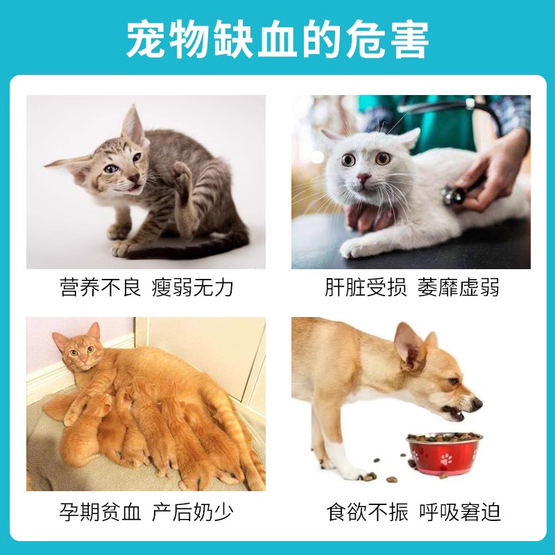 血倍生宠物补血肝精口服药焦虫术后产后幼犬肾衰贫血保肝生血补铁
