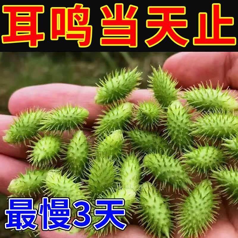 十万人都在用 【隔夜见效】 耳不鸣耳不嗡 解决各种耳部问题