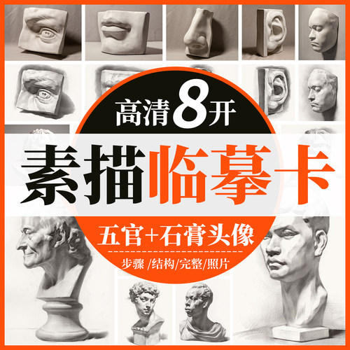 高清8开石膏头像素描临摹卡绘画教学照片步骤结构明暗