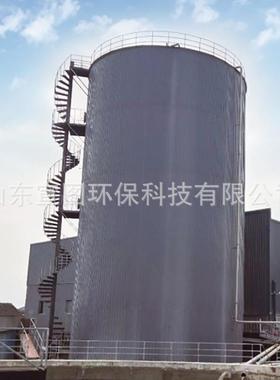 高浓度有机废水处理设备 CSTR全混反应器 搅拌式反应器 宣图环保