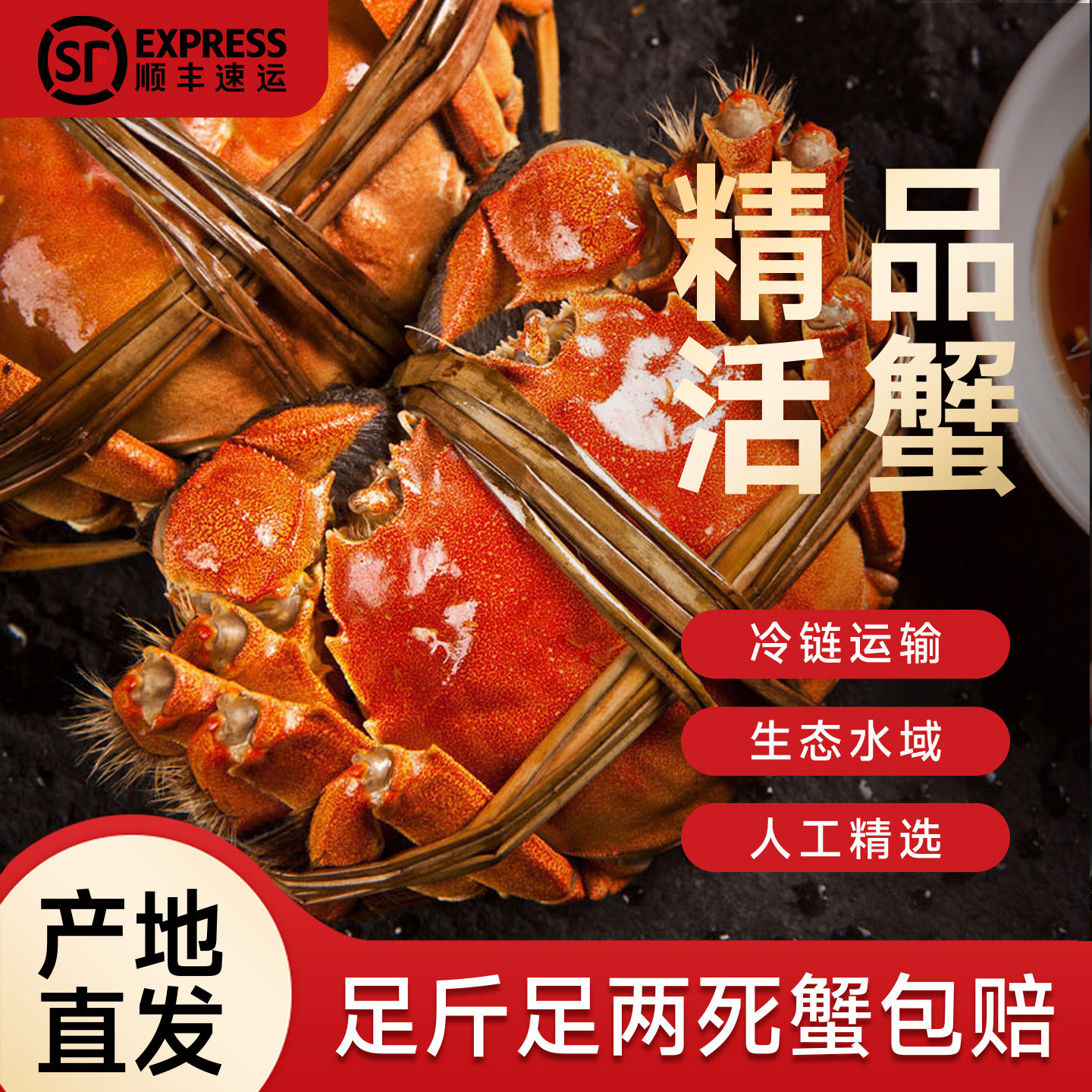 活蟹正宗阳澄新鲜大闸蟹全母鲜活特大螃蟹湖蟹官方精品河蟹礼盒
