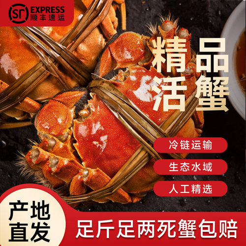 苏州阳澄大闸蟹鲜活特大中秋送礼