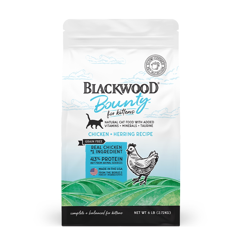 低温慢煮鸡肉营养高蛋白全猫粮