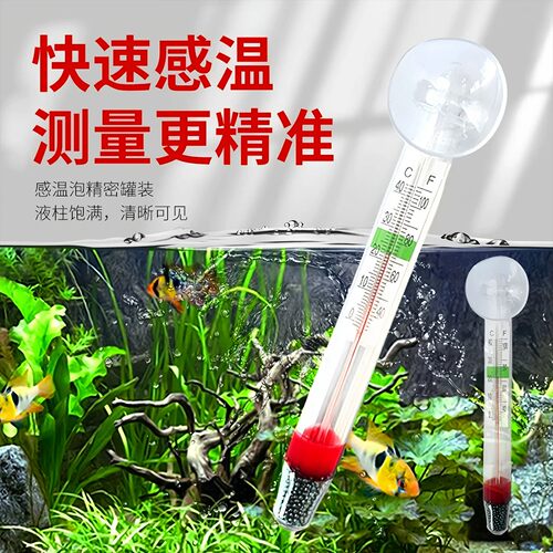 高精度吸盘式防水水温计
