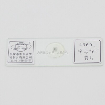 43601字母e装片初中学生物实验室配套教学用张家港浪花牌玻切涂片