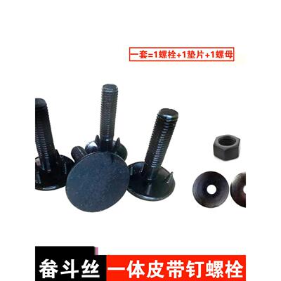 提升机畚斗螺丝料斗焊接一体皮带钉螺栓 大头输送带钉M8M10M12M16