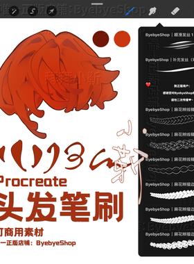 Procreate头发笔刷 描边发丝麻花辫 可商用 拜拜小靳