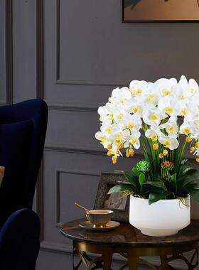 高兰档蝴蝶SQA仿真假花卉柜花艺客厅电桌视餐面插花盆景装饰摆件