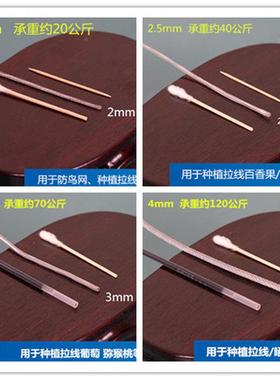 SSH镀锌钢绳白色透包塑细软大棚牵引猕猴明桃晒衣绳晾衣丝带皮