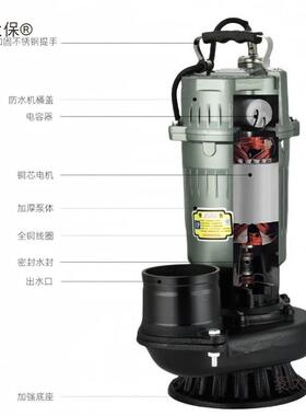 BBOCE高IKUN北坤国标潜水泵220V308V太清水泵农用灌溉泵家用大扬