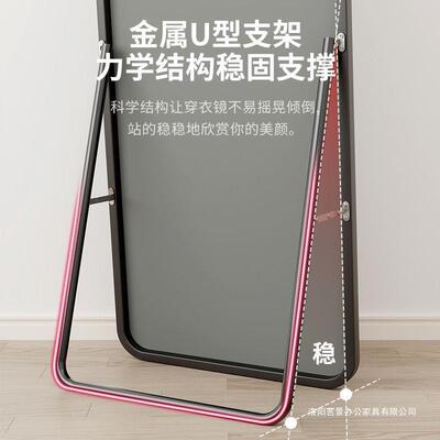 镜全身穿衣镜家用子女生EEL卧室网红地落镜风挂壁挂立体试墙衣镜