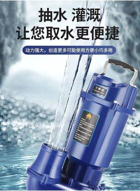 德国进田QDX单三相潜电泵NIP高扬程全铜抽口水机农灌水溉4寸5寸大