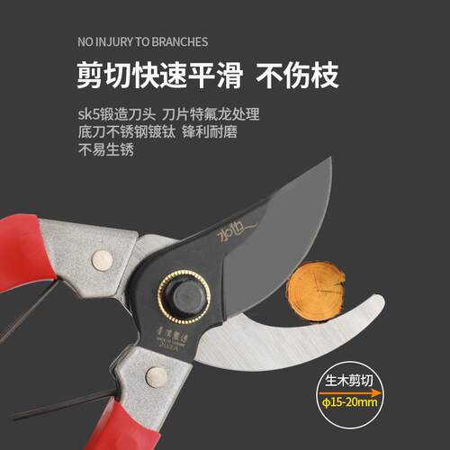 新款直销园林果枝剪刀台湾品质果树枝剪碳钢SK5粗枝剪园艺省力花