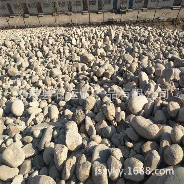 新款直销大量供应自然鹅卵石园林园艺装饰造景公园铺路用鹅河