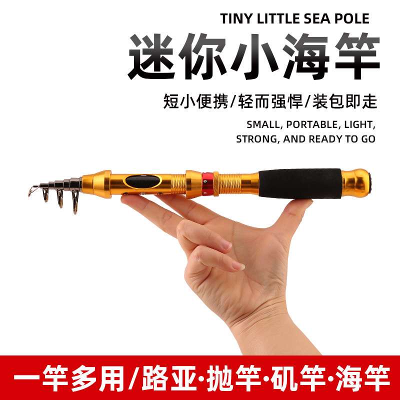 钓者护卫短节小海竿1米5迷你路亚竿硬调抛竿碳素海竿 海杆套装