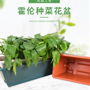 长方形花盆霍伦长条特大号家用阳台F种菜盆室内特大种植箱厂家现