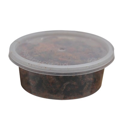 亚马逊盒装腌制沙蚕活沙蚕蜜制A海蜈蚣海蚯蚓矶钓海钓鱼饵冬钓鱼