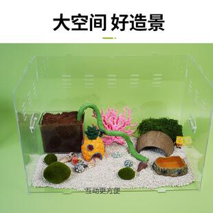 新款直销全透明亚克力寄居蟹饲养箱芦丁鸡笼子爬宠饲养盒芦丁鸡窝