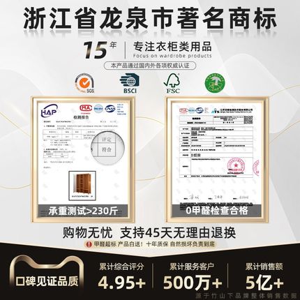 挂衣柜家用卧室简易组装出租房用实木E布柜子新款2023爆款结实耐