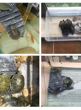 新款直销动物宠物用品乌龟晒台爬台造景龟台陆台龟岛爬虫躲藏穴三