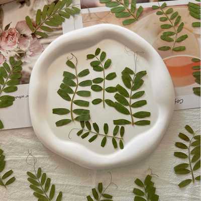 新款直销麻豆叶 diy压花材料包 押花马豆叶贴脸装饰真树叶手机壳