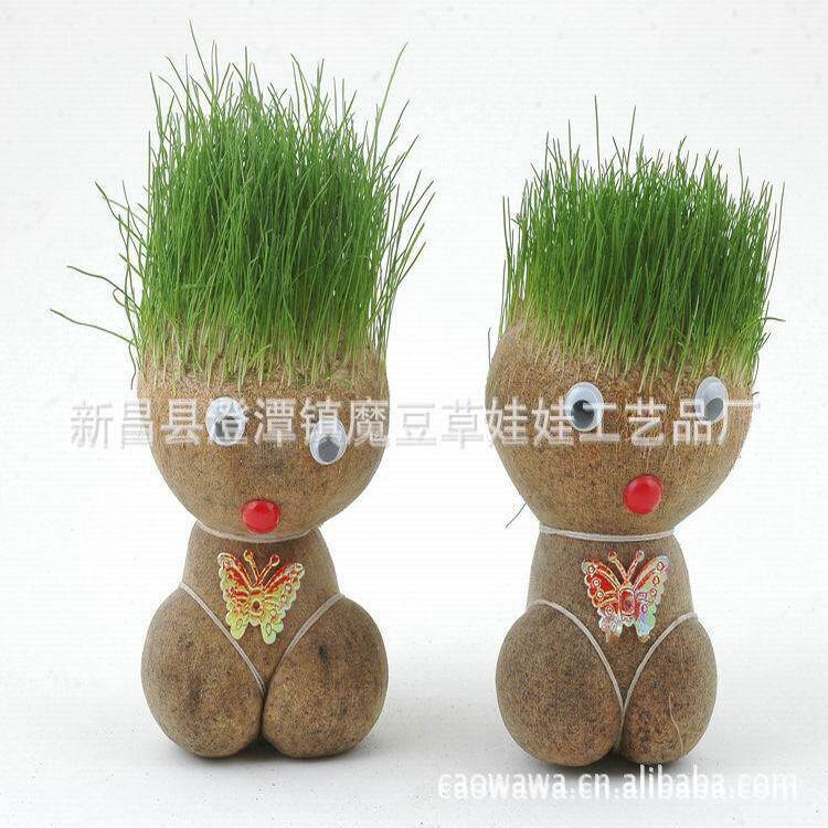 新款直销大眼萌仔大平头哥中大号草头娃娃青草种植黑麦猫草长草植
