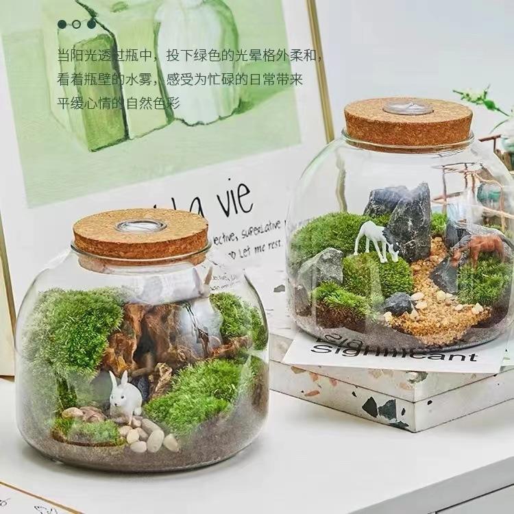 新款直销大号微景观生态瓶造景玻璃花瓶水培植物玻璃瓶鱼缸摆件苔