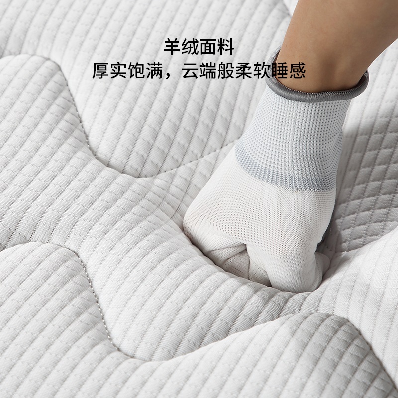 弹簧床垫薄款席梦思家用棕榈老年人硬床垫可定制可拆8cm10厘爆款